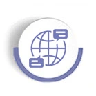 Trabajo en Red Colaborativo